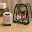 대한의료인메디컬지원센터 이미지