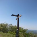 유천리 삼거리 이미지