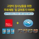 코리아스넥 이미지