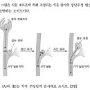 2014 생물A 기입형6번 - 정단우성, 옥신, 시토키닌 이미지