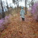 야은초교 이미지