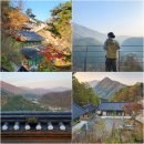 GS25 가야가평점 | 가평 대원사 뚜벅이 혼자 다녀온 휴식형 템플스테이