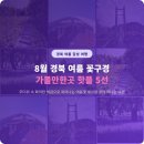 명산친환경 영농조합법인 | 8월 경북 여름 막바지 꽃구경 가볼만한곳 핫플 명소 추천 베스트5과 특징 일목요연 정리