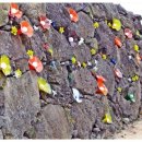 유리의성 이미지