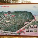 송림나무시장 이미지