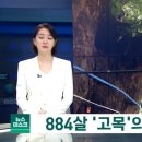 800년 '고목' 속 살펴보니‥"요즘 날씨는 너무 힘들어" 이미지