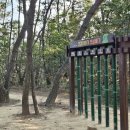 황방산 맨발걷기 이미지