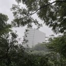 도토리 노래연습장 이미지
