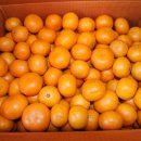 삼남매농장 이미지