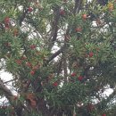 공음보건지소 이미지