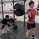 크로스핏엘리펀트 이미지