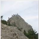 고창선운산풍천장어 이미지