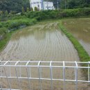 하대동164 이미지