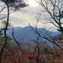 소슬락 이미지