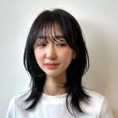 살롱, 해율