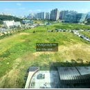 넥서스공인중개사사무소 이미지