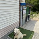 옥돌순두부 이미지