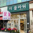 김포 구래동 꽃집 더 플라워 내돈내산 구매후기