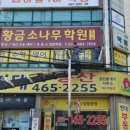 황금소나무학원