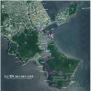 영도해수랜드 | [부산] 영도 “태종사,법융사수국축제” 후기---2025년 7월 3일(목)