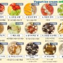 요거트아이스크림의정석송정