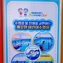 스위밍차일드 네이버블로그