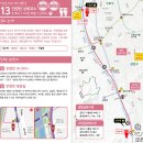 벚꽃길13 티스토리