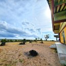 강정동-66 이미지