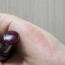 [후기] 입술 사막, 각질 부자 뮤트 웜톤의 네츄럴샤인(네샤) 립 제품 사용 후기 / 파네스, 글로시 헤스티아
