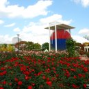 꽃향기 머무는 곳 이미지