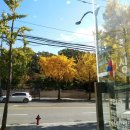 선정릉약국 이미지