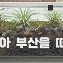 미진축산전주아중점