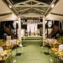 더그레이스켈리강남