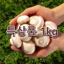 달싱상회