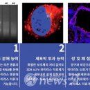 노블젠 이미지