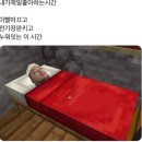 허밍버드 이미지