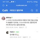 강아지 아시아수의안과전문의 이미지