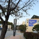 현지세차장 | 파주시청 맛집 금촌 쌀국수 반안 주말 저녁 혼밥 후기