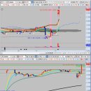 일성트레이딩 이미지