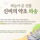 환농장 네이버블로그