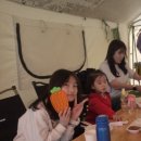 코코숲 이미지