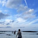 청파목장 | 전복돌솥밥/감귤체험/코난해변/카멜커피/청파식당고등어회/딱새우/목장카페/쑥보리빵/해비치리조트)