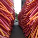 아트시티(ART City) 이미지