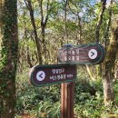 한라산둘레길 돌오름길 | <제주여행>한라산 둘레길 ~돌오름길