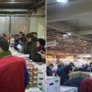 상생과 공존 이미지