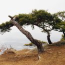 칠봉산 이미지