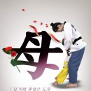 호림태권도 이미지