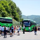 봉양초등학교 이미지