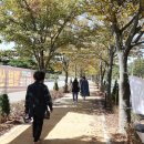 구림산책길 뉴시스