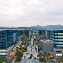 판교 예스의원 이미지